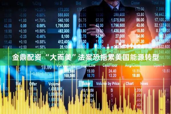 金鼎配资 “大而美”法案恐拖累美国能源转型
