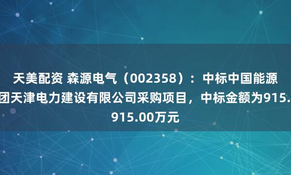 天美配资 森源电气（002358）：中标中国能源建设集团天津电力建设有限公司采购项目，中标金额为915.00万元
