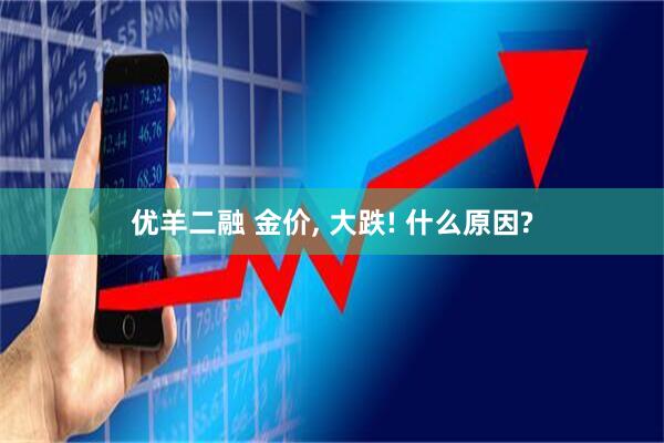 优羊二融 金价, 大跌! 什么原因?